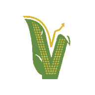 Vila Veloni